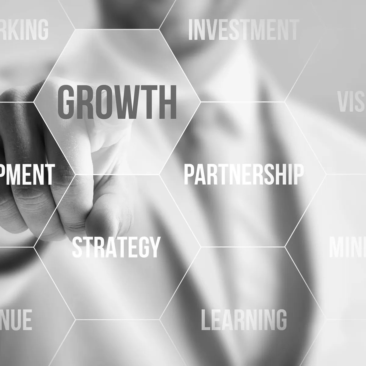 Growth, Partnership and Care Strategy